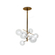 bolle gallotti radice