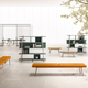 knot dvo office