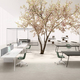 knot dvo office