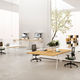 knot dvo office