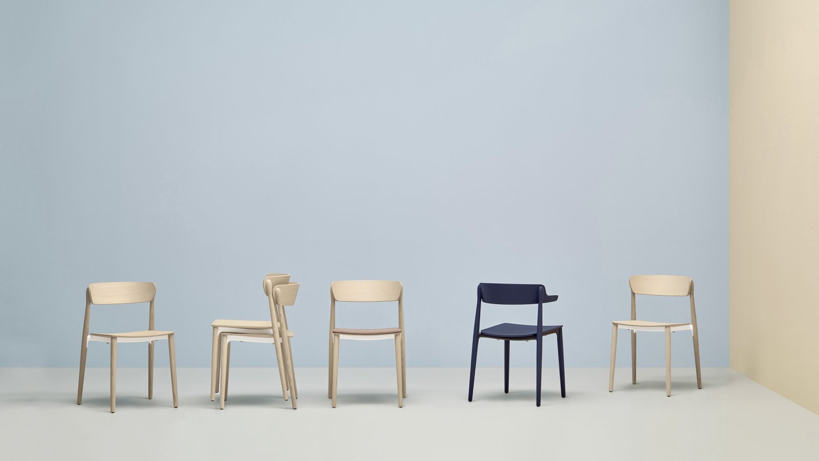 Design stoel Nemea van Pedrali in essen