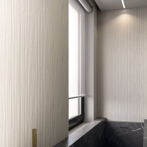 Phenomenon module Rain A