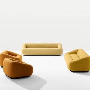 Aom fauteuil in een privéwoonkamer
