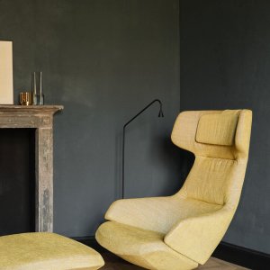 Leren bekleding van de fauteuil