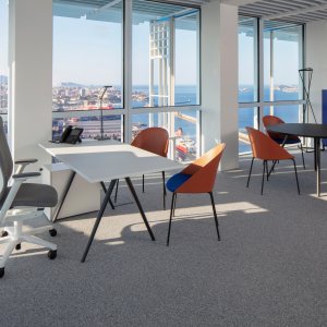 Groepswerk met rollende Cila Go