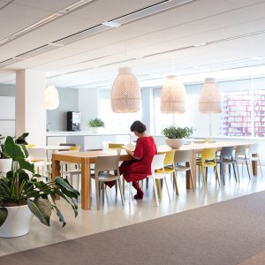 Design stoelen van Arper: de Juno 02 collectie