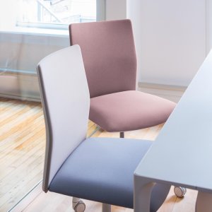 Lendensteun in de rugleuning van de Kinesit