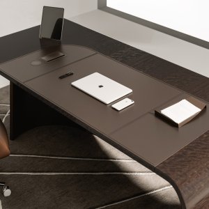 Blad van eucalyptus met leren inleg van het bureau Codutti