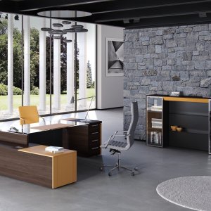 Wangen van Piasentina-steen met witte vlamtekening op het directiebureau One