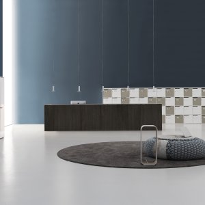 Qubo van DVO Office, rechte module van 166 cm met ontvangstblad