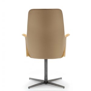 Chroomafwerking van de structuur Electa
