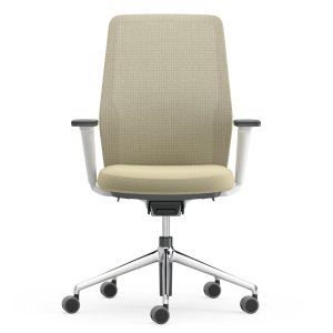 Beklede Soft rug van de Duo