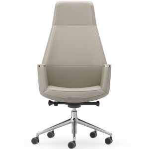Musa Chair in een bestuurskamer