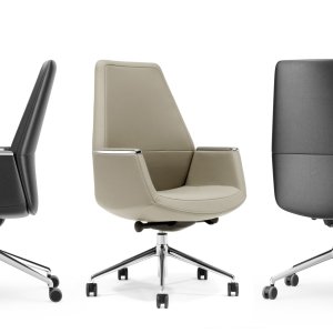 Glijder van de Musa in zwart nylon