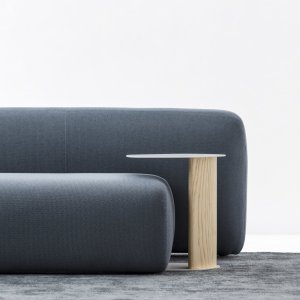 Organische volumes van de collectie Suiseki