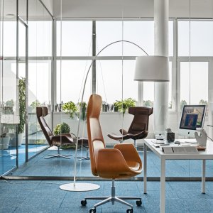 Tweekleurige Nordic met contrasterende schalen