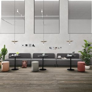 Fenix blad met eiken rand op een Pigreco tafel