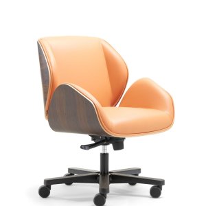 Basculerend mechanisme met instelbare veerkracht van Suoni