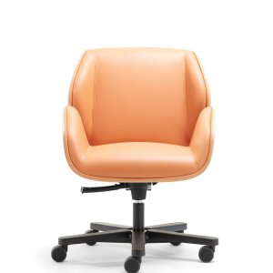 Armleggers van de directiestoel Suoni