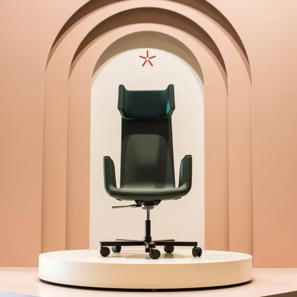 Hedendaagse Luxy-designstoel op kantoor